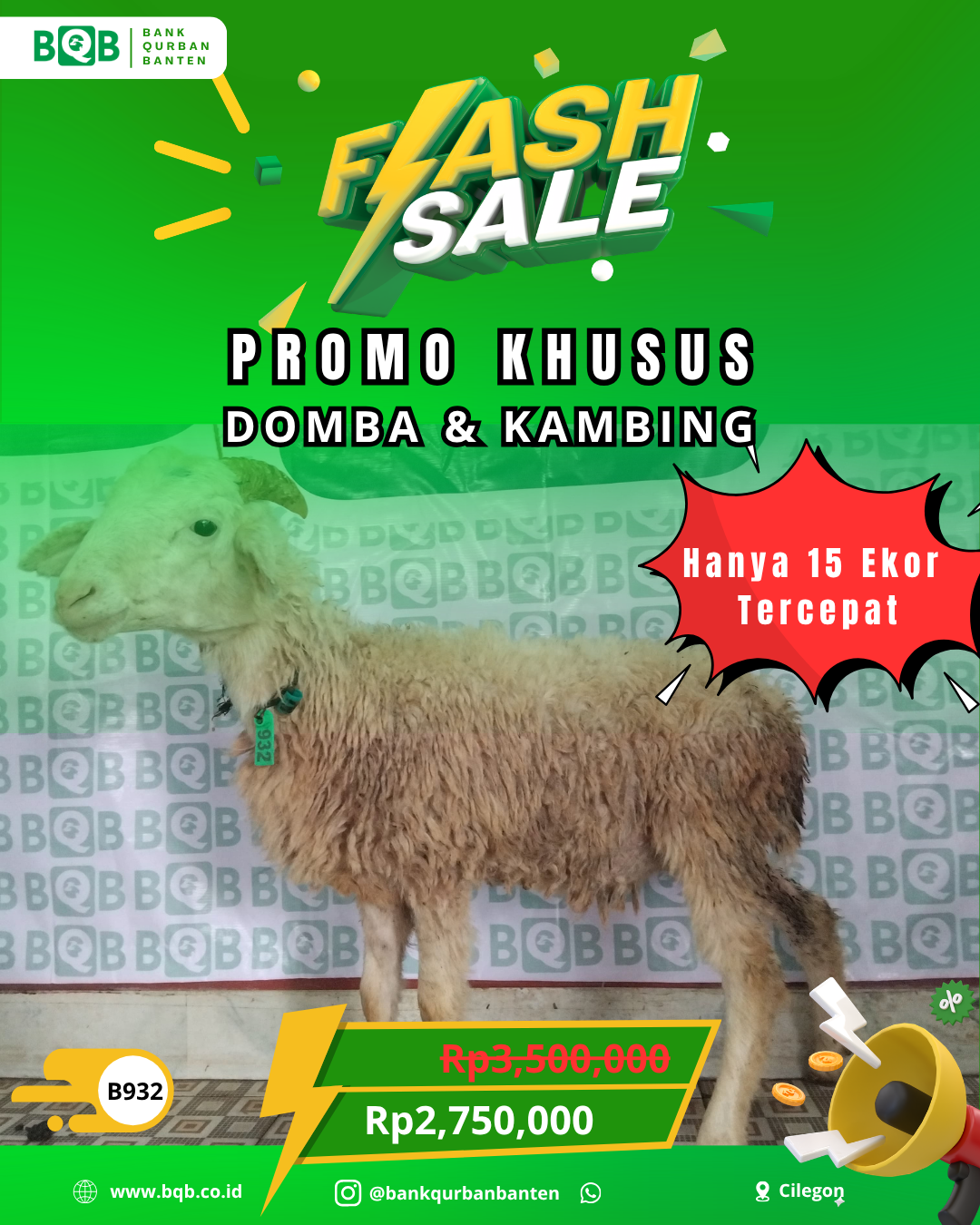 Domba Flash Sale