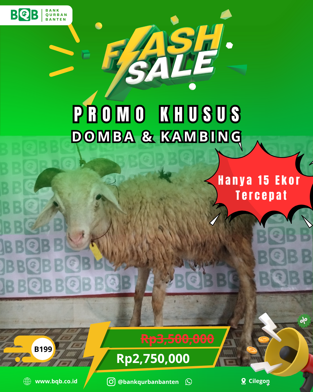 Domba Flash Sale